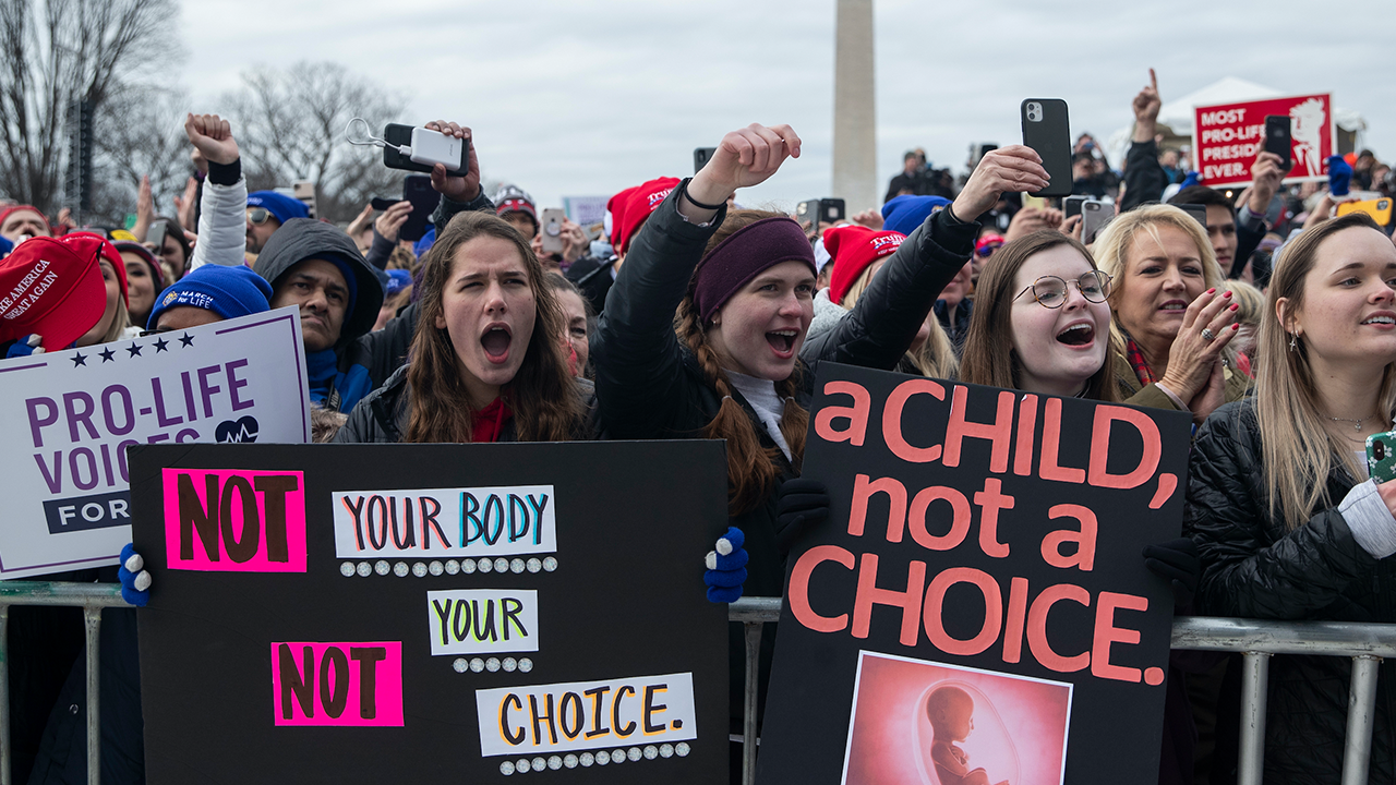 Voters could decide if abortion provision will be added to state constitution