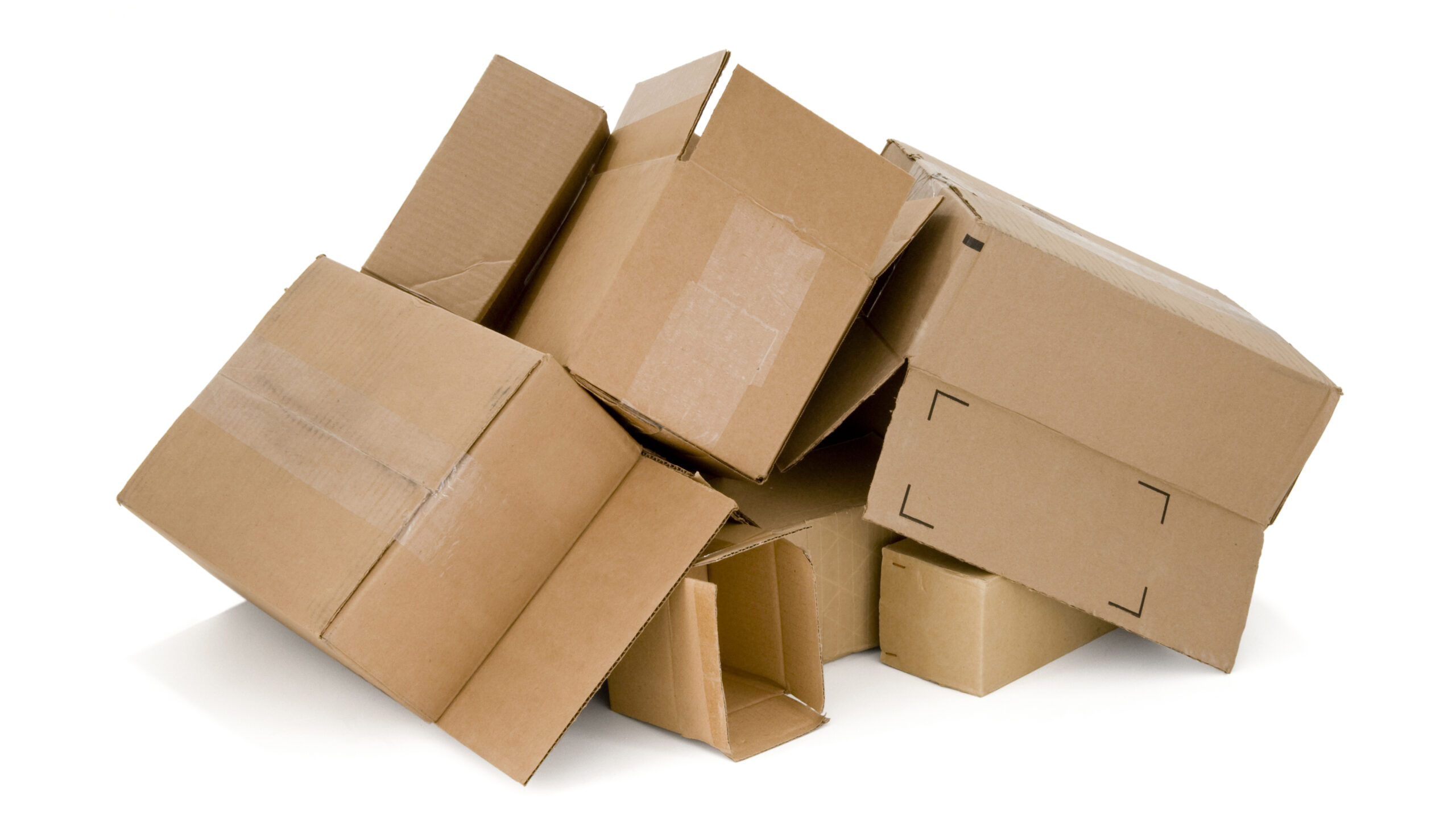 Man sues parents over his massive pornography collection
