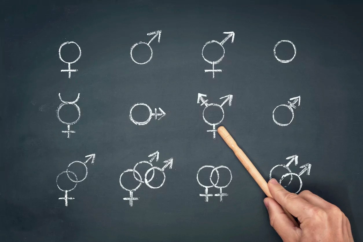 Children can be brainwashed into being pro-transgender: Study