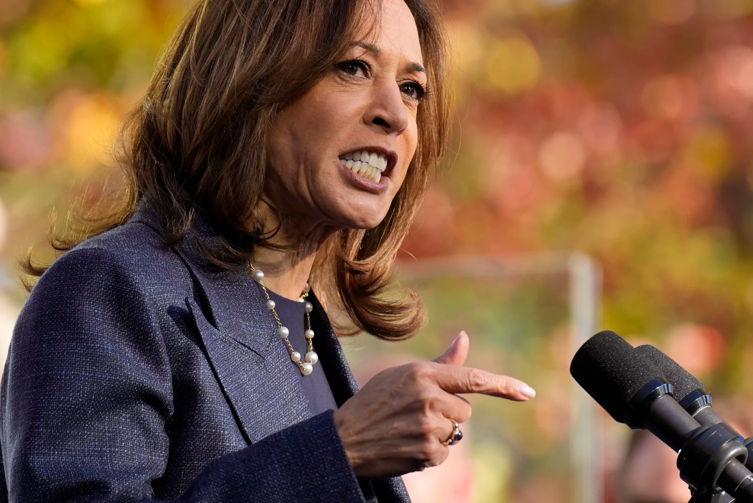 Election win odds sour further on Harris after Fox interview