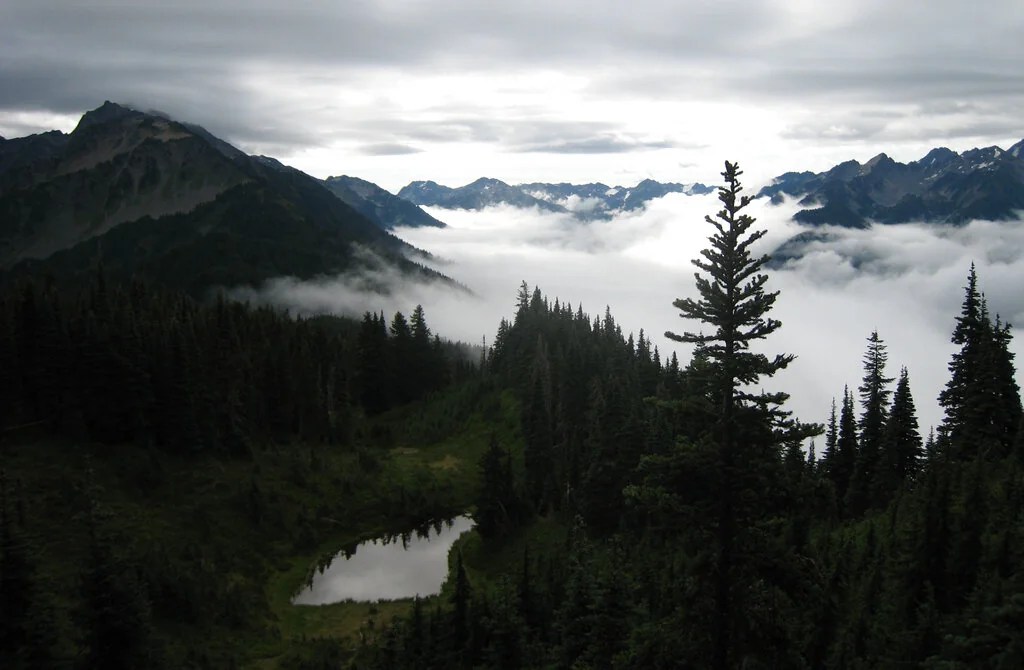 The American Conservation Coalition is wrong about the HOUSES Act