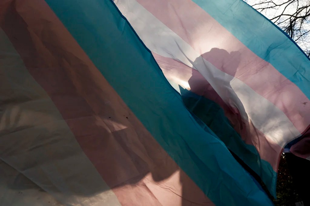 Controversial suppressed paper on trans youth procedures is finally published