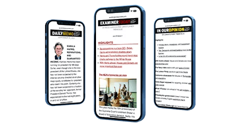 Newsletters